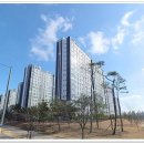한울공원 족구장+농구장 네이버블로그