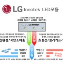 은하수플라워