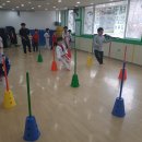 엄지태권도체육관 이미지