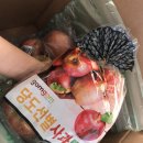[쿠팡배송후기]로켓프레시 좋아요~신선한사과 좋아요! #과일배송