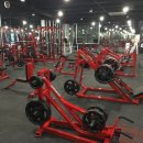 GYM of 영웅 이미지