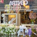 슬리스짐 이미지