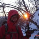 대덕산순대
