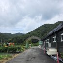 산과 벗 캠핑장 | 캠핑장) 숲과 별 그리고 자연이 하나되는 산과벗 캠핑장