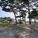 한마음오토캠핑장 이미지