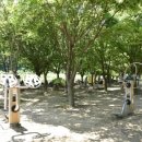 미천공원 이미지