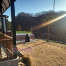 바우바우 | 하루 한 팀 경기도 애견 독채펜션 바우바우 애견 펜션