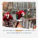경기도 실내가볼만한곳 실내동물원 오산버드파크 아기랑 후기