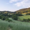 태화목장 이미지