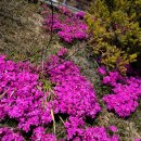 효원납골공원 이미지