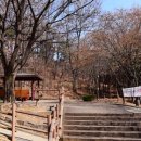 까치울먹거리촌 이미지