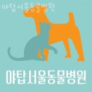 야탑서울동물병원 이미지