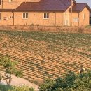 솔정펜션 이미지