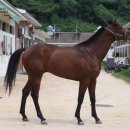 정우종합건설(주) 이미지