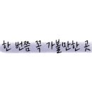 푸른하늘 동물병원 이미지