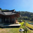 알토란사과체험마을 | 충북 보은 하얀민들레마을 체험 웰니스in충북