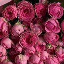 둔촌대로63번길 이미지