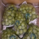 하늘사랑농원 이미지