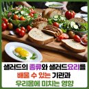 수샐러드 이미지