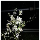 미래로농장 이미지