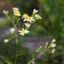 장독민박 이미지