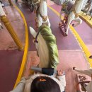 비룡어린이집 | 20개월 아기와 에버랜드 주차장, 놀이기구, 준비물, 사파리 자리 꿀팁