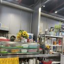 UR(광주광역시)-[양림로]-하-3 | 광주 학동 남광주시장 맛집 복순이네 쭈꾸미 샤브샤브 솔직후기