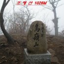 령초재 Daum카페
