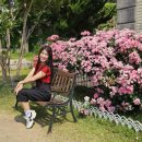 선샤인스포츠 이미지