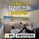 평택두피케어 두피 트러블 걱정 끝! 컬러드스파 평택고덕점 방문 후기