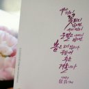 수채캘리그라피 이미지