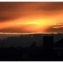 청산농장2 이미지