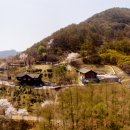 계명산자연휴양림 Daum카페