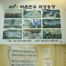 더존한우 이미지