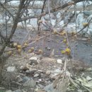 칠읍산장모텔 이미지