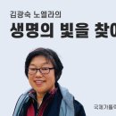 인안2리 티스토리