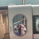 동방1급써비스 | 24년 3월 상하이🇨🇳