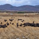 교하도서관(2) 이미지