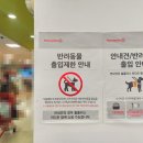 밍키애견마트