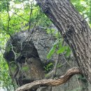 내곡동451 이미지