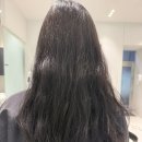 헤어데이즈 - 제주시 | 첨단미용실 데이즈헤어 모발클리닉 후기!