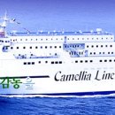 카멜리아 이미지