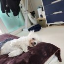 행복한 집밥 이미지