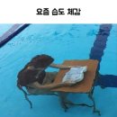 김박사손칼국수 | 24.07.04(목) 어 나 써노먼인데