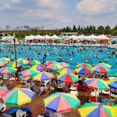 잠실 제2수영장 이미지