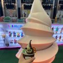 단양시장먹거리 추천 오성통닭 매콤오뎅 맛집 강냉이막걸리 구매후기