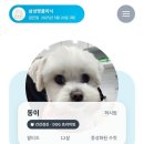 250520 :: 올해의 동이 건강검진! / 결과 99점 🍀/ 삼성펫클리닉 프리미엄 단계 추천