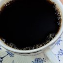 오션서베이 이미지