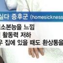 호롤로 이미지