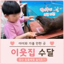 경산 이웃집 수달 후기｜먹이주기 체험에 푹 빠진 6살 아이, 재방문 솔직후기
